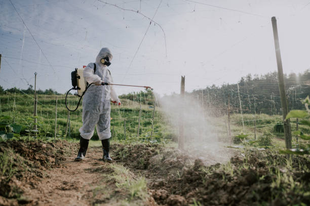 Best Affordable Pest Control Services  in Milbank, SD