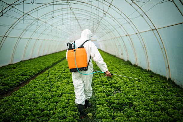 Best Affordable Pest Control Services  in Milbank, SD