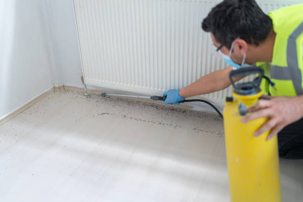 Best Commercial Pest Control Services  in Milbank, SD