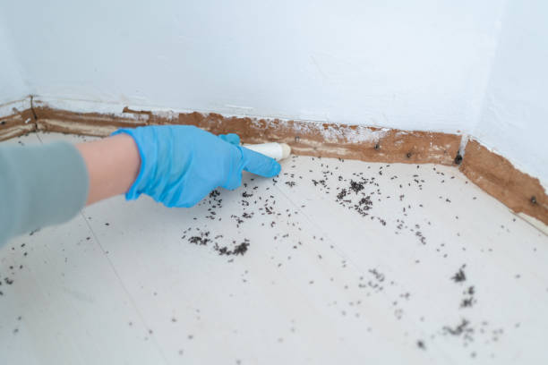 Best Pest Removal Services  in Milbank, SD
