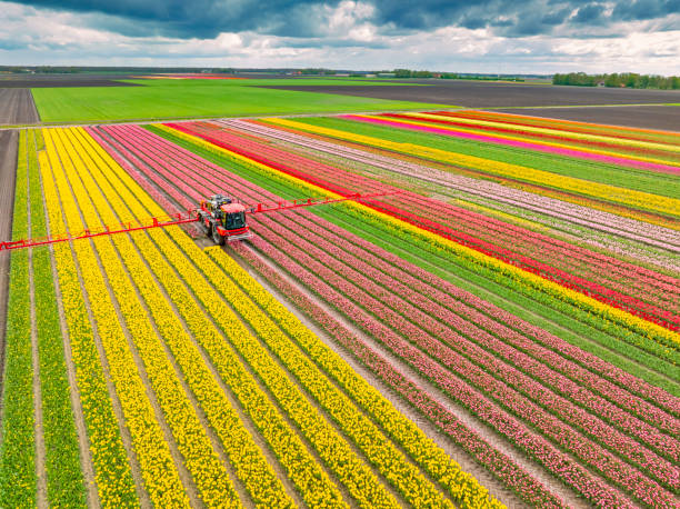 Pest Control Cost in Milbank, SD